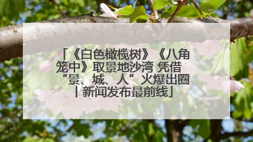 《白色橄榄树》《八角笼中》取景地沙湾 凭借“景、城、人”火爆出圈丨新闻发布最前线