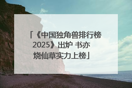 《中国独角兽排行榜2025》出炉 书亦烧仙草实力上榜
