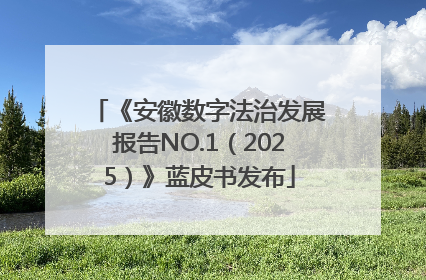 《安徽数字法治发展报告NO.1（2025）》蓝皮书发布