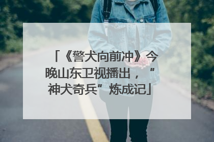 《警犬向前冲》今晚山东卫视播出，“神犬奇兵”炼成记