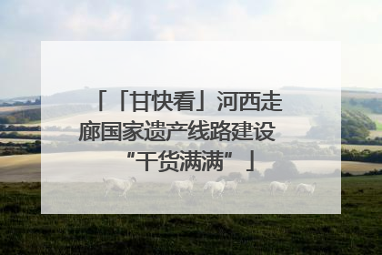 「甘快看」河西走廊国家遗产线路建设“干货满满”