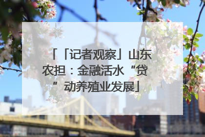 「记者观察」山东农担：金融活水“贷”动养殖业发展