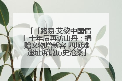 「路易·艾黎中国情」十年后再访山丹：捐赠文物增新容 四坝滩遗址诉说历史沧桑