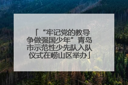 “牢记党的教导 争做强国少年”青岛市示范性少先队入队仪式在崂山区举办