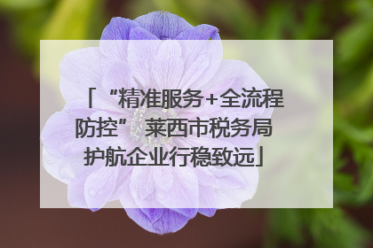 “精准服务+全流程防控” 莱西市税务局护航企业行稳致远