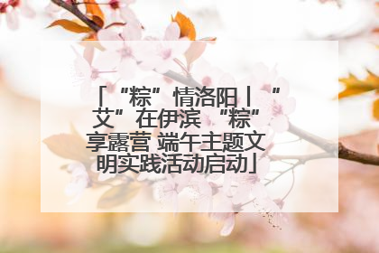 “粽”情洛阳丨“艾”在伊滨 “粽”享露营 端午主题文明实践活动启动