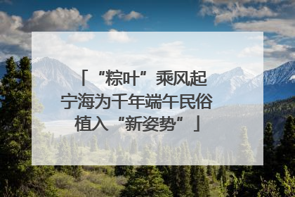 “粽叶”乘风起 宁海为千年端午民俗植入“新姿势”