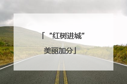 “红树进城” 美丽加分