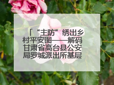 “主防”绣出乡村平安图——解码甘肃省高台县公安局罗城派出所基层治理新实践