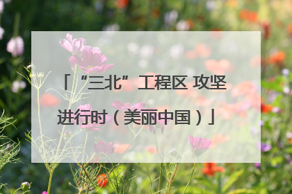 “三北”工程区 攻坚进行时（美丽中国）
