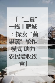 “三夏”一线丨肥城：探索“菌果蔬”轮作模式 助力农民增收致富