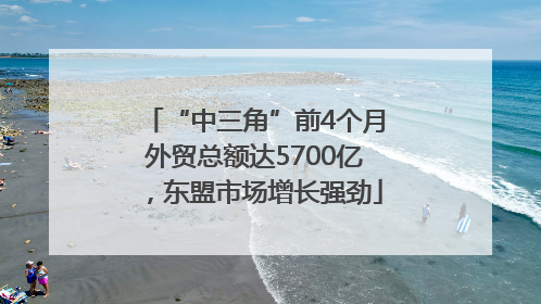 “中三角”前4个月外贸总额达5700亿，东盟市场增长强劲