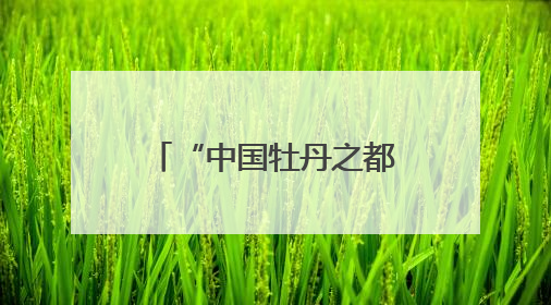 “中国牡丹之都”为“牡丹”立法，《菏泽市牡丹产业发展促进条例（草案建议修改稿）》公开征求意见