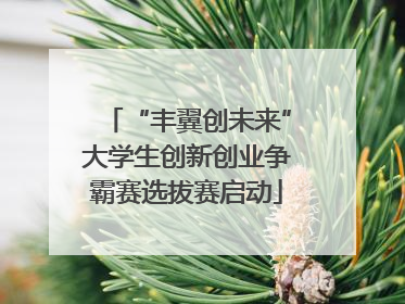 “丰翼创未来”大学生创新创业争霸赛选拔赛启动