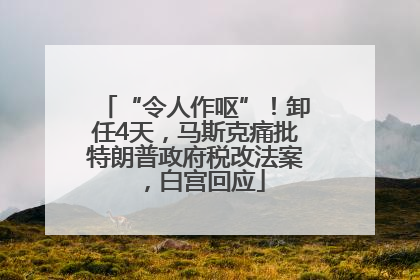 “令人作呕”！卸任4天，马斯克痛批特朗普政府税改法案，白宫回应