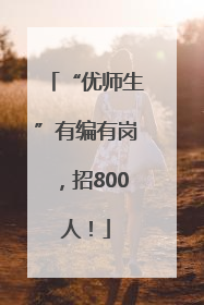 “优师生”有编有岗，招800人！