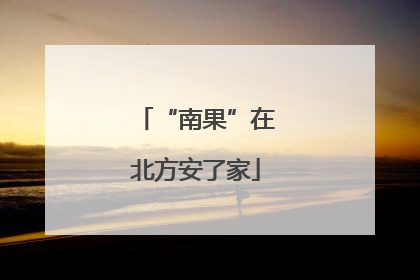 “南果”在北方安了家