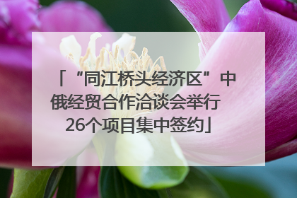 “同江桥头经济区”中俄经贸合作洽谈会举行 26个项目集中签约