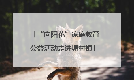 “向阳花”家庭教育公益活动走进塘村镇