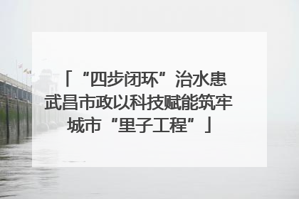 “四步闭环”治水患 武昌市政以科技赋能筑牢城市“里子工程”