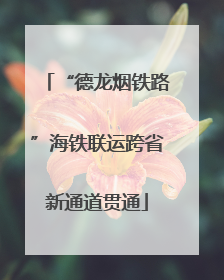 “德龙烟铁路”海铁联运跨省新通道贯通