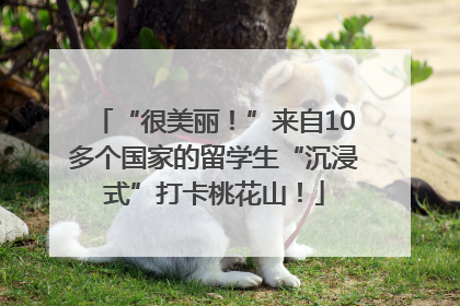 “很美丽！”来自10多个国家的留学生“沉浸式”打卡桃花山！