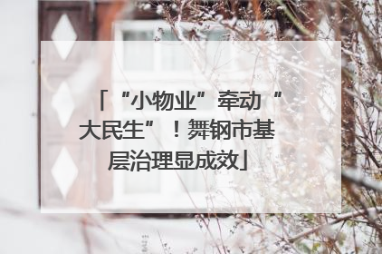 “小物业”牵动“大民生”！舞钢市基层治理显成效