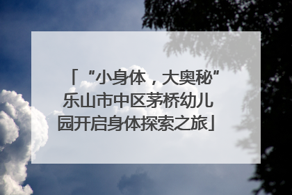 “小身体，大奥秘” 乐山市中区茅桥幼儿园开启身体探索之旅