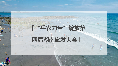 “岳农力量”绽放第四届湖南旅发大会