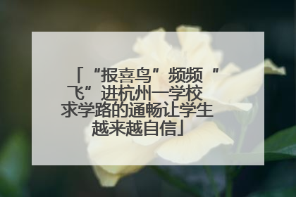 “报喜鸟”频频“飞”进杭州一学校 求学路的通畅让学生越来越自信