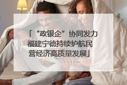 “政银企”协同发力 福建宁德持续护航民营经济高质量发展