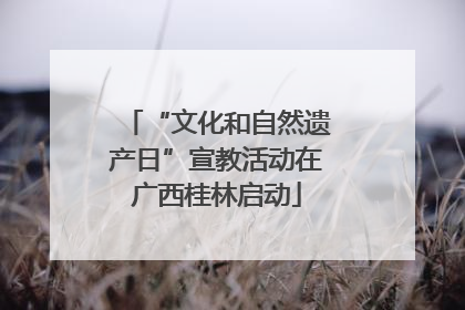 “文化和自然遗产日”宣教活动在广西桂林启动
