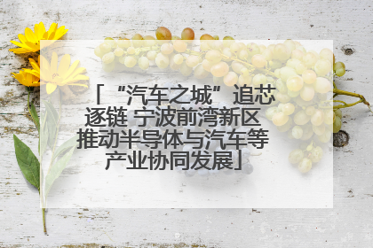 “汽车之城”追芯逐链 宁波前湾新区推动半导体与汽车等产业协同发展