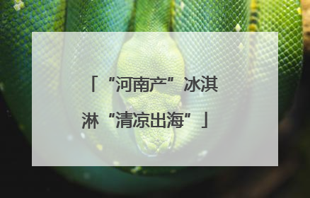 “河南产”冰淇淋“清凉出海”