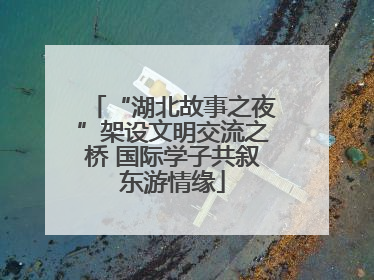 “湖北故事之夜”架设文明交流之桥 国际学子共叙东游情缘