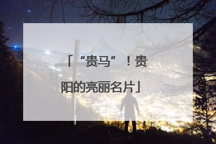 “贵马”！贵阳的亮丽名片