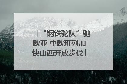 “钢铁驼队”驰欧亚 中欧班列加快山西开放步伐