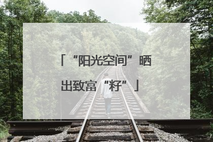 “阳光空间”晒出致富“籽”