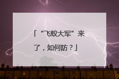 “飞蚁大军”来了，如何防？