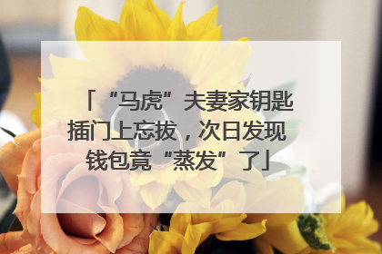 “马虎”夫妻家钥匙插门上忘拔，次日发现钱包竟“蒸发”了