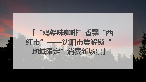 “鸡架味咖啡”香飘“西红市”——沈阳市集解锁“地域限定”消费新场景