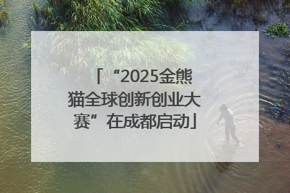 “2025金熊猫全球创新创业大赛”在成都启动