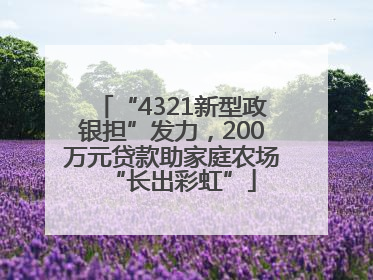 “4321新型政银担”发力，200万元贷款助家庭农场“长出彩虹”