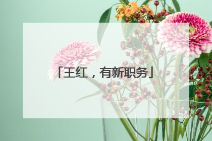 王红，有新职务