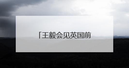 王毅会见英国前首相布莱尔：中英应体现责任担当
