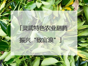 灵武特色农业翻腾振兴“致富浪”