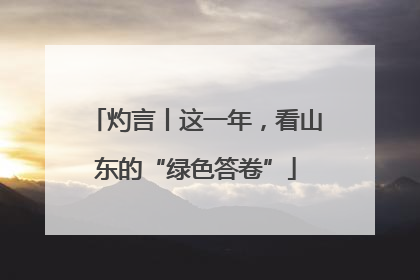灼言丨这一年，看山东的“绿色答卷”