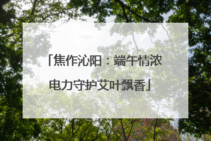 焦作沁阳：端午情浓 电力守护艾叶飘香