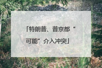 特朗普、普京都“可能”介入冲突