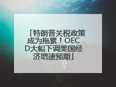 特朗普关税政策成为拖累！OECD大幅下调美国经济增速预期